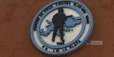 malvinas proyecto