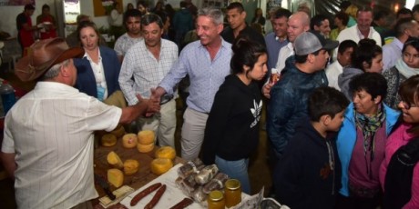 arcioni fiesta