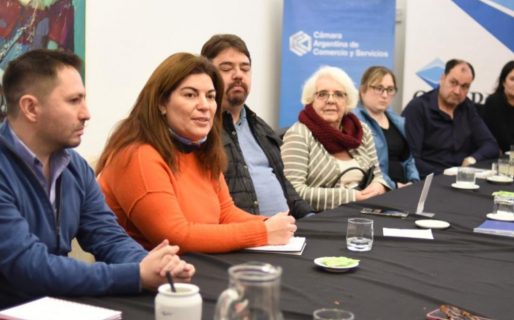 Ana Clara: “Vamos a reducir un tercio de los 42 impuestos actuales”